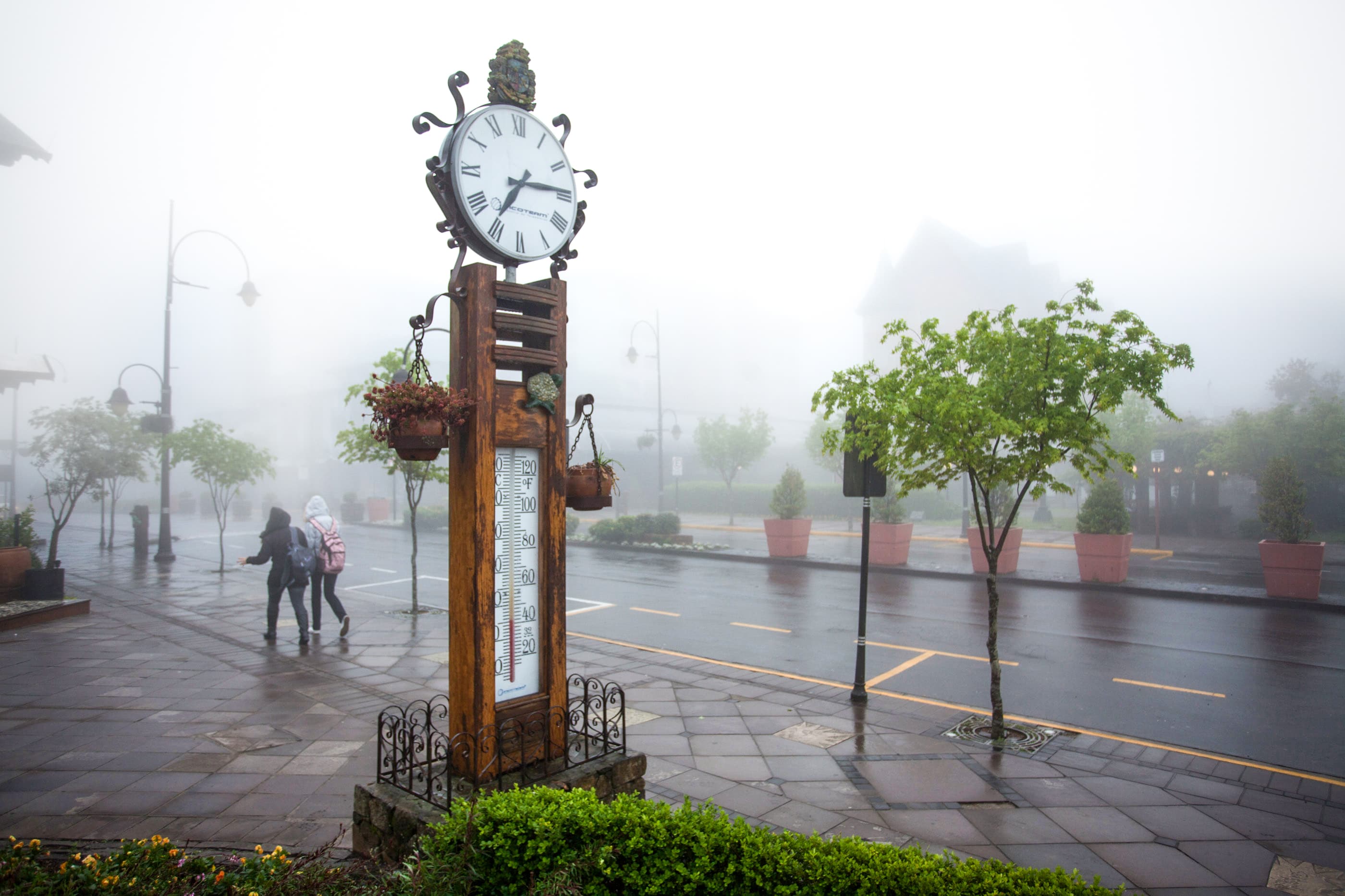Gramado foto 4